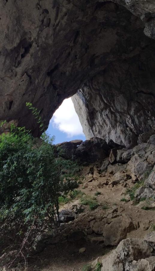 Къща Томови,Стаи За Гости Devin Extérieur photo